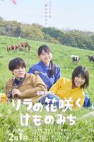 丁香花高清完整版播放在线观看